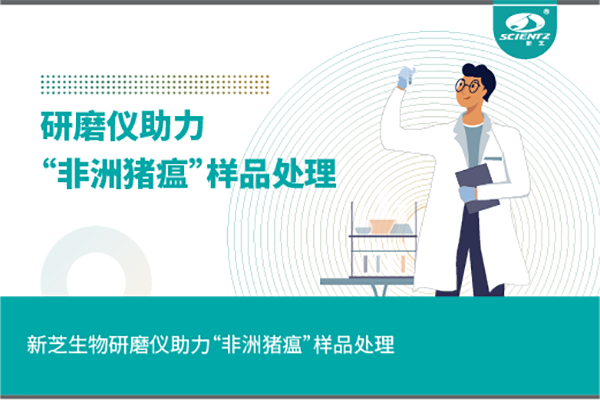 KY开元生物组织研磨仪助力“非洲猪瘟”样品处理