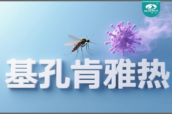 基孔肯雅热疫情升级！KY开元生物硬核技术助力病毒精准诊断