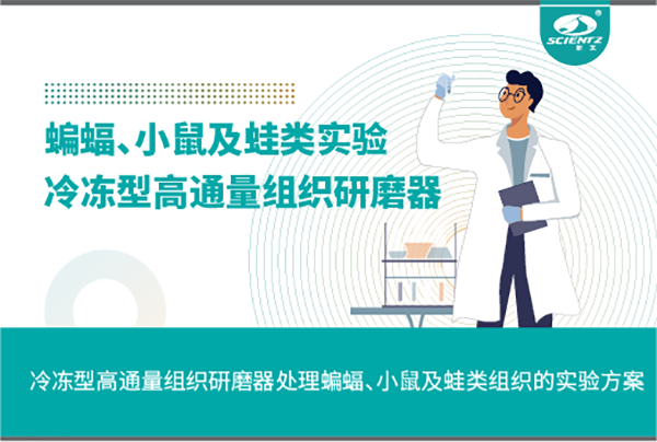冷冻型高通量组织研磨器处理蝙蝠、小鼠及蛙类组织的实验方案