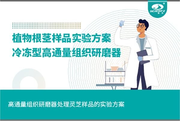 冷冻型高通量组织研磨器处理植物根茎的实验方案