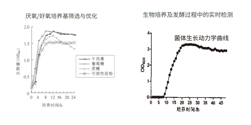过程安全，结果精准